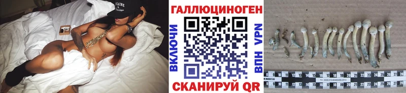 Галлюциногенные грибы GOLDEN TEACHER  Купить где  Заринск 