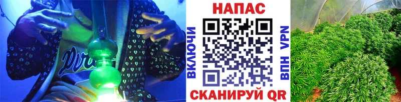 Бошки марихуана OG Kush  Купить закладки  Заринск 